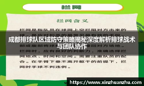 成都排球队区域防守策略揭秘深度解析排球战术与团队协作